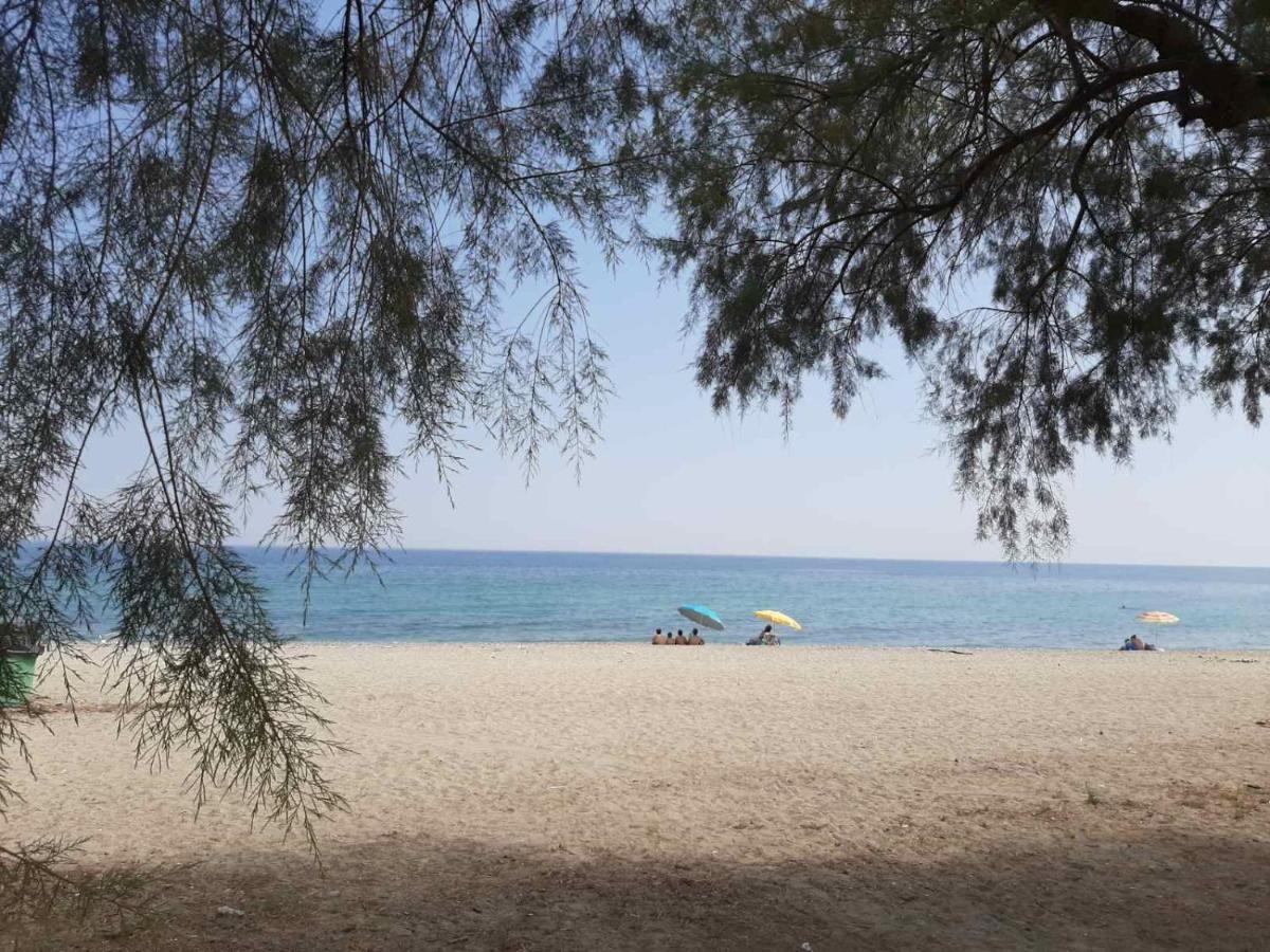 فندق Dimitria ليبتوكاريا المظهر الخارجي الصورة