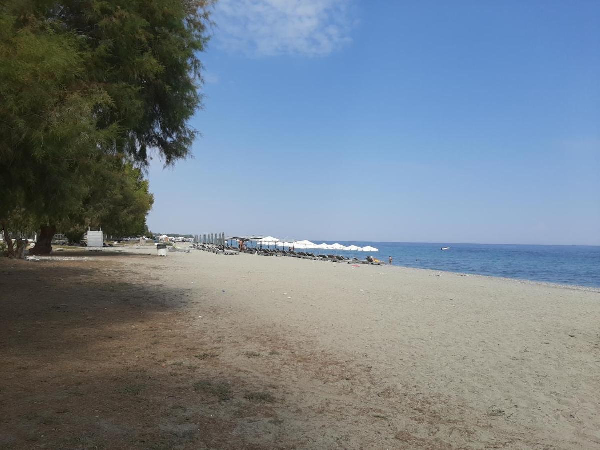 فندق Dimitria ليبتوكاريا المظهر الخارجي الصورة